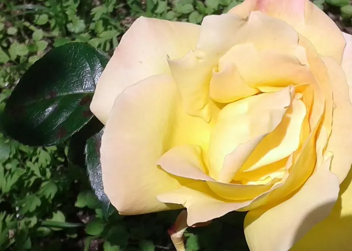 Apartment Casa Do Loreto *