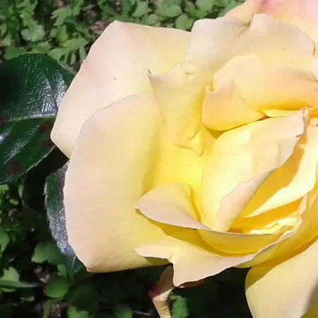 Apartamento Casa Do Loreto *